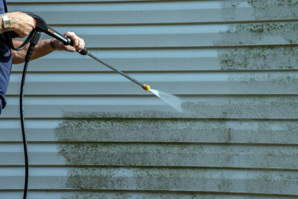 Best Gutter Cleaning  in Harrisville, WV