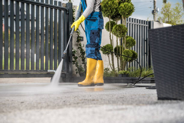 Boat and Dock Cleaning in Harrisville, WV